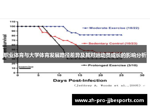 职业体育与大学体育发展路径差异及其对运动员成长的影响分析