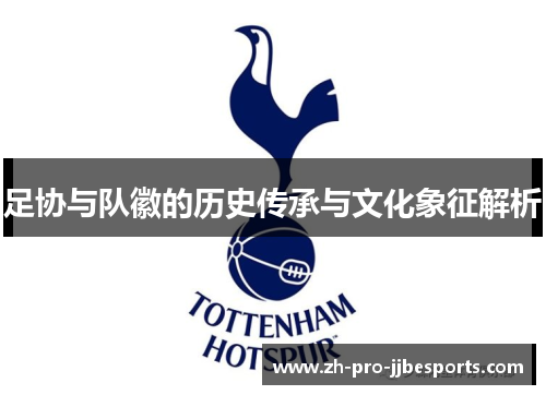 足协与队徽的历史传承与文化象征解析